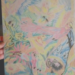 Original Parrots Birds colored pencil Drawing